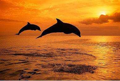 《鬼武者2：复刻版》新视频：必杀·一闪