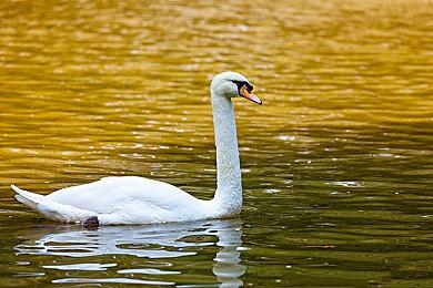 全新动漫风街机竞速游戏《霓虹巅峰：超越极限》将于今年发售